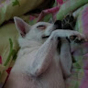 Meet your Posher, Bethany